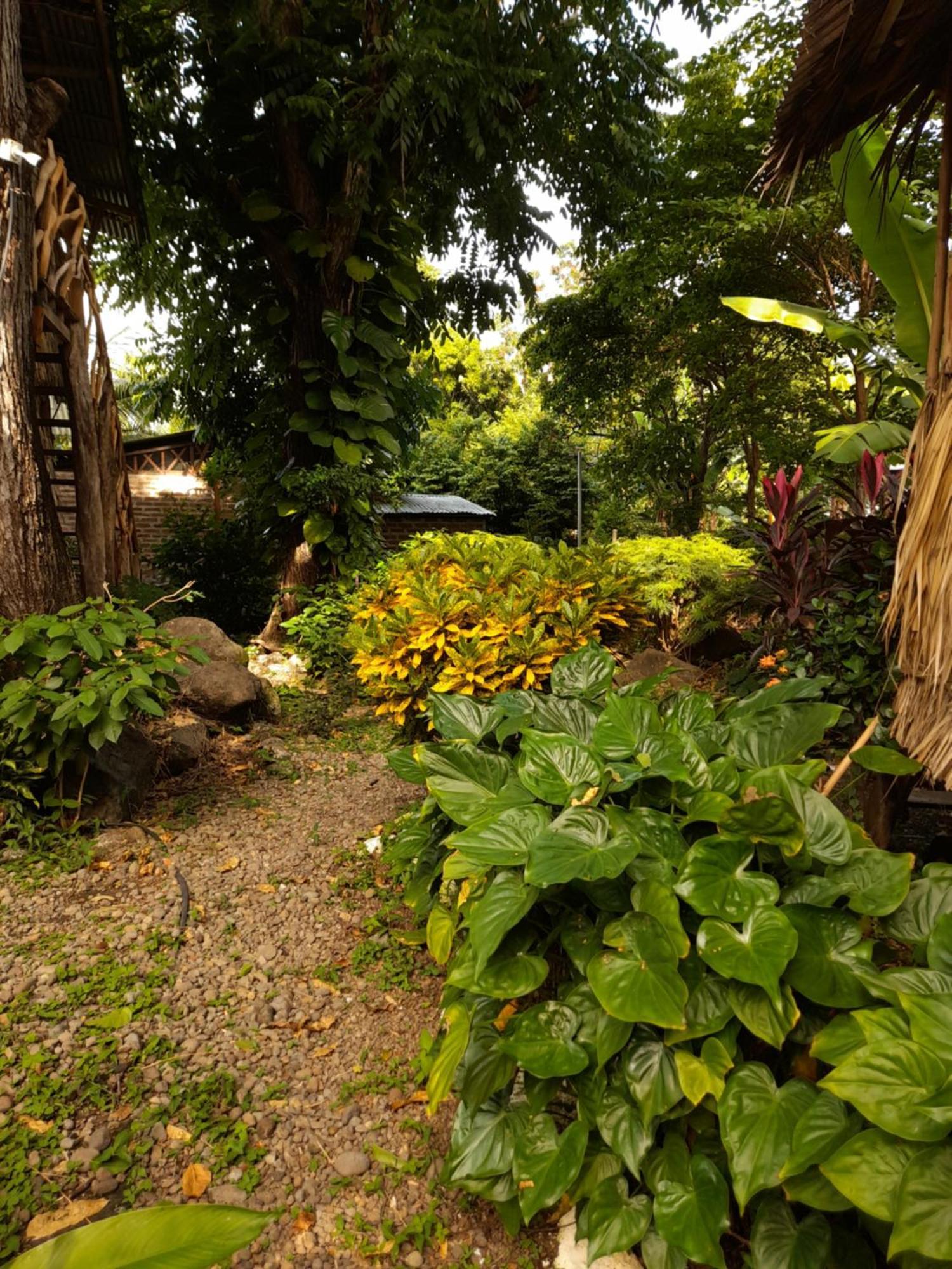 El Bamboo Cabins Balgue Exterior foto
