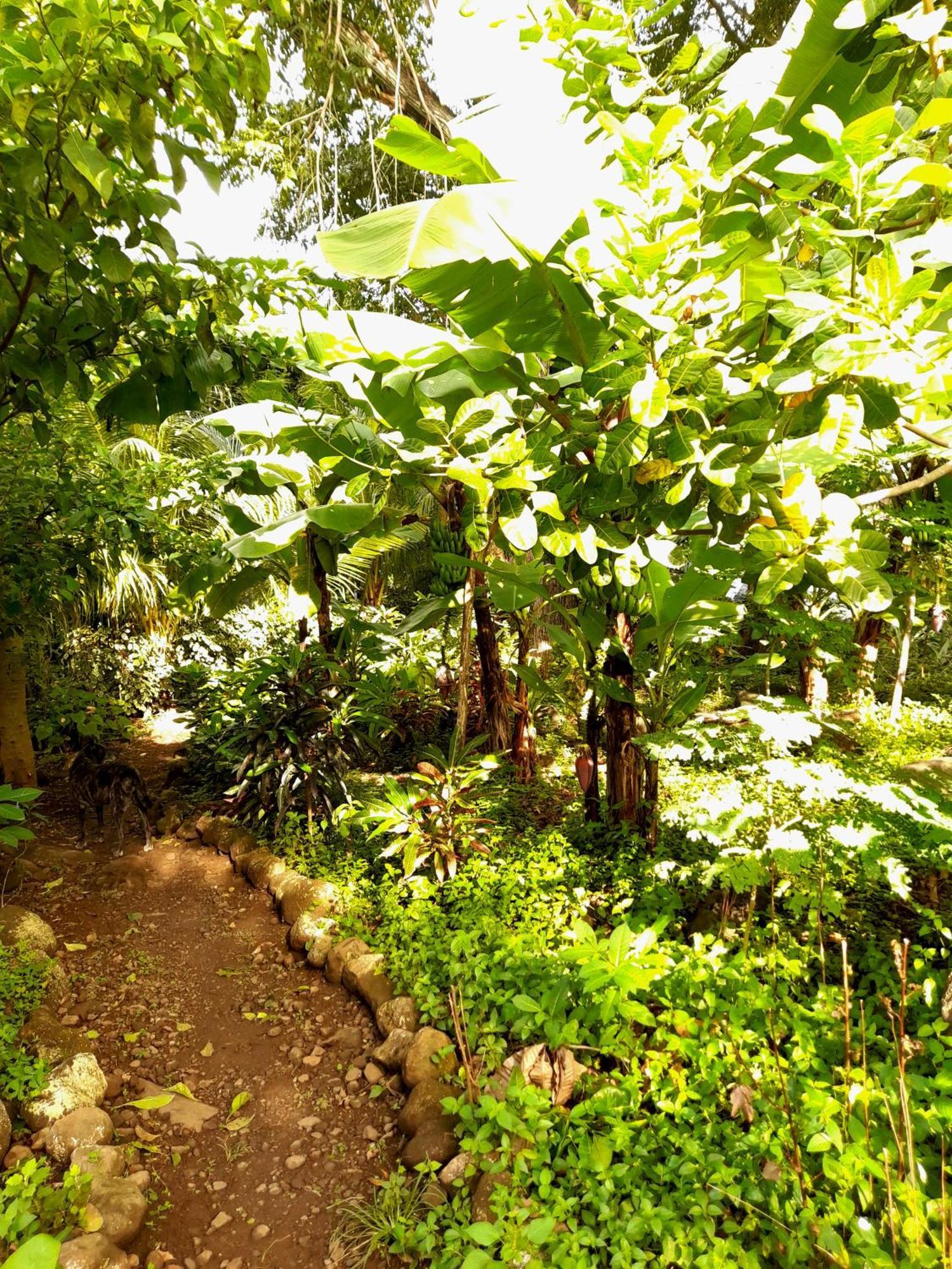 El Bamboo Cabins Balgue Exterior foto