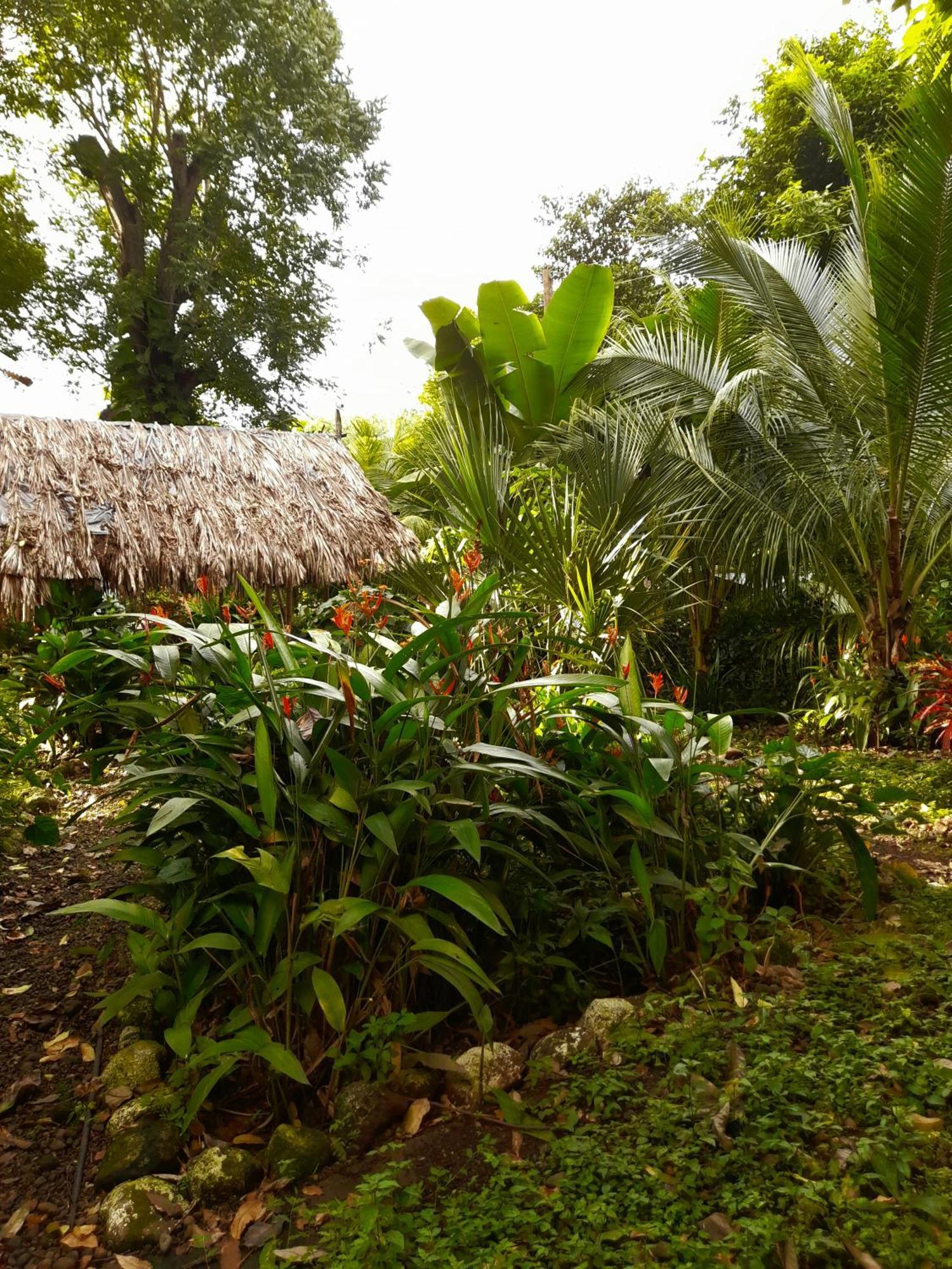 El Bamboo Cabins Balgue Exterior foto