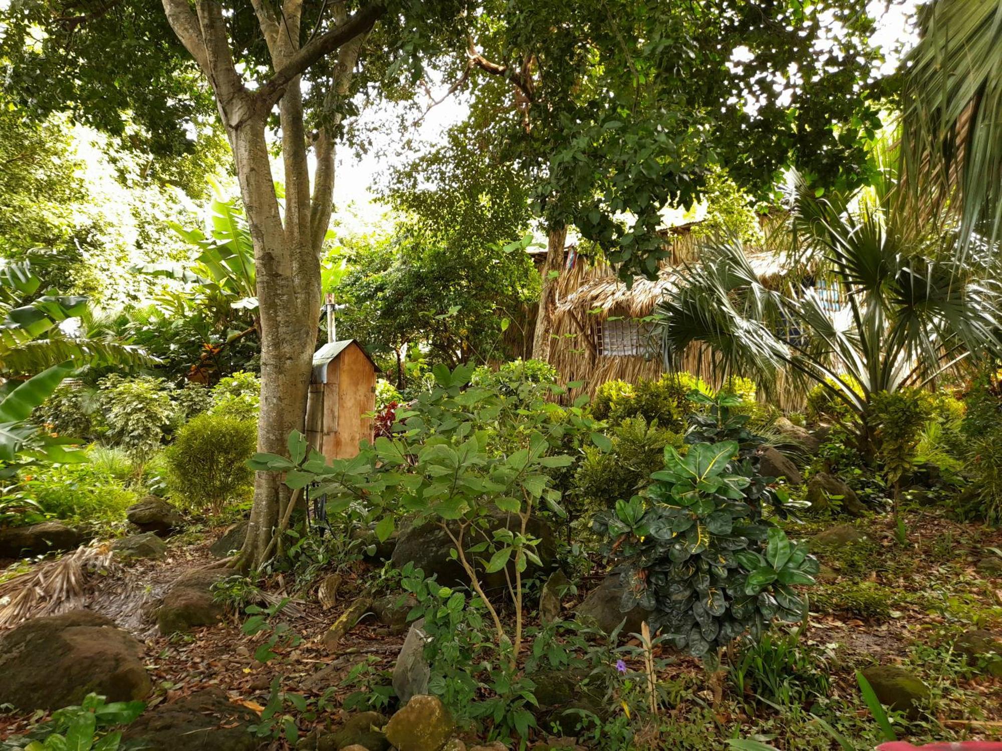 El Bamboo Cabins Balgue Exterior foto